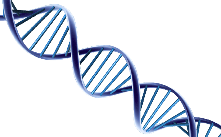 dna-helix.png